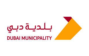 it service company in dubai