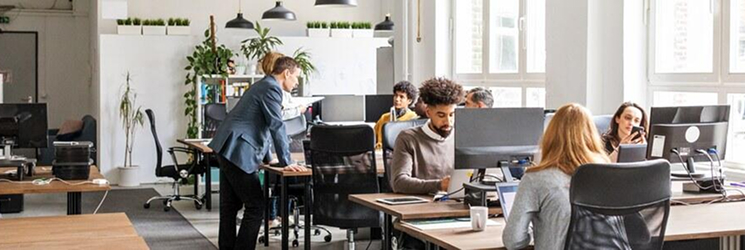 Indoor Enterprise WiFi Applications