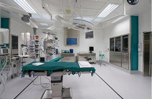 ICU & Recovery Areas 